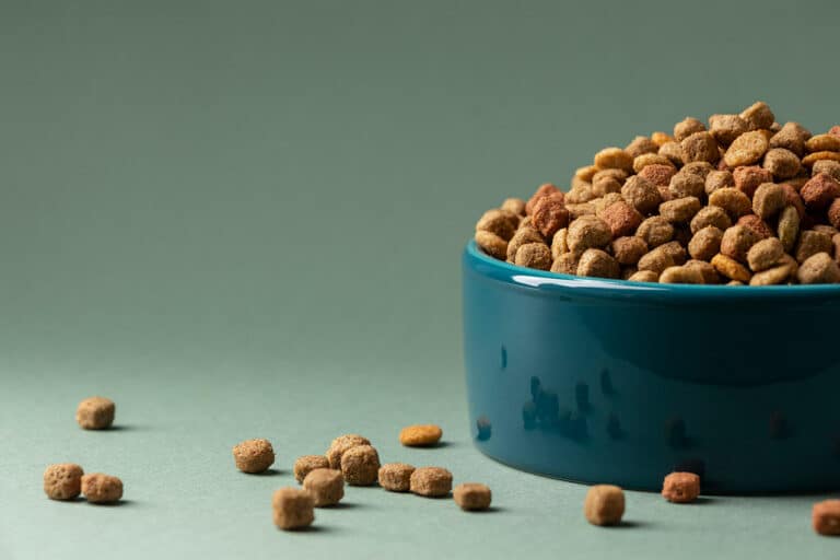 How To Store Dry Dog Or Cat Food Long Term (What To Know)